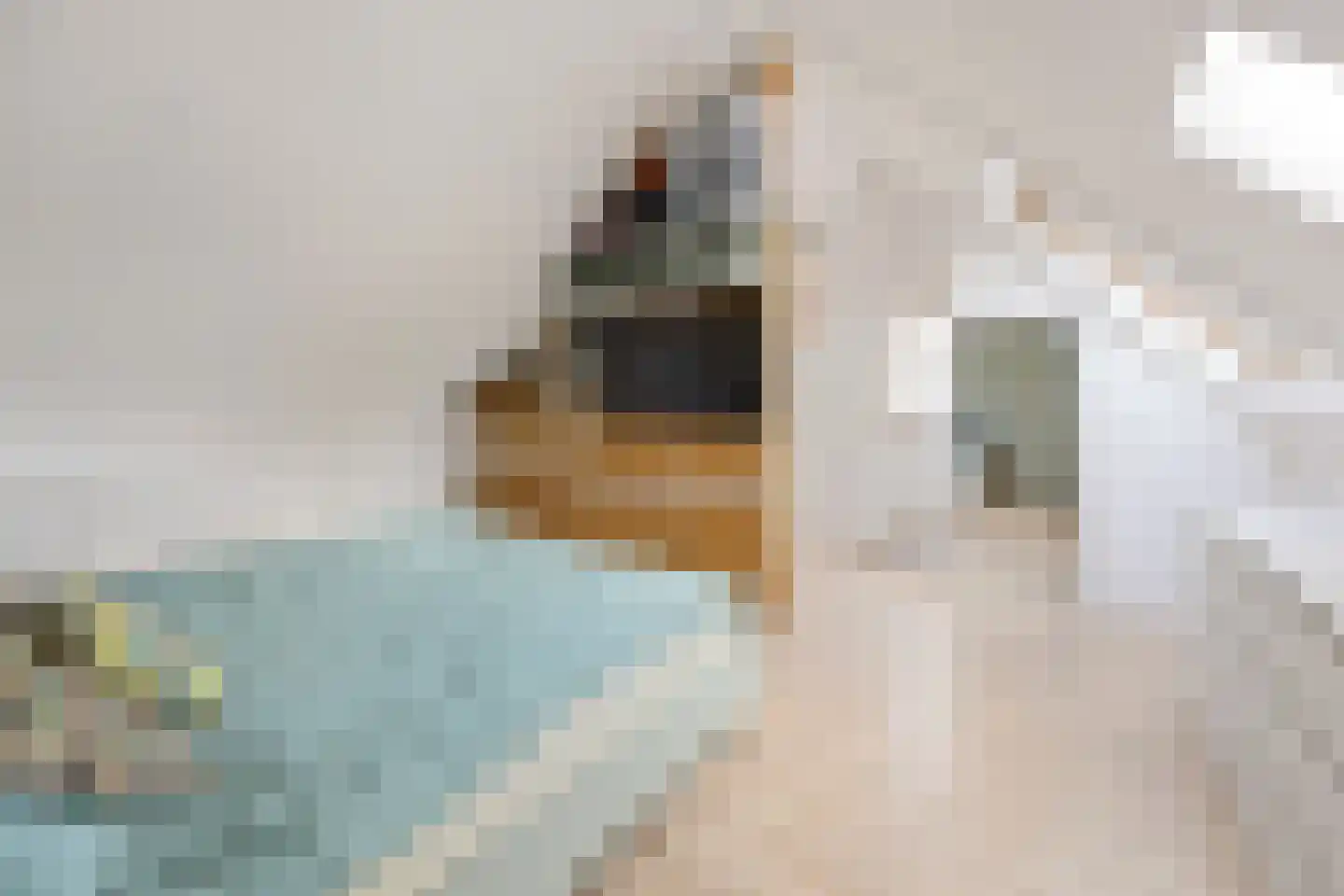Claudiuslaan 13 Beuningen Gld thumbnail 37