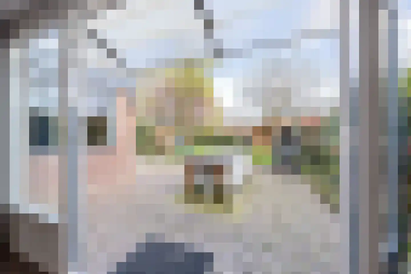 Claudiuslaan 13 Beuningen Gld thumbnail 40
