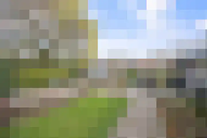 Claudiuslaan 13 Beuningen Gld thumbnail 45