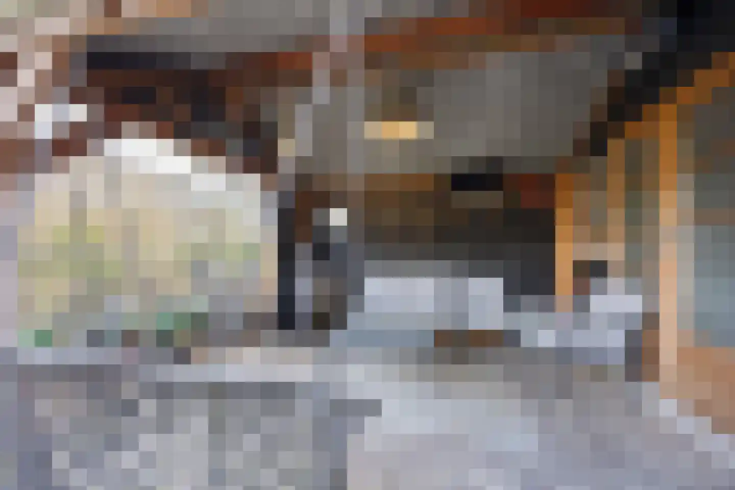 Claudiuslaan 13 Beuningen Gld thumbnail 51