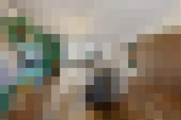 Claudiuslaan 13 Beuningen Gld thumbnail 6