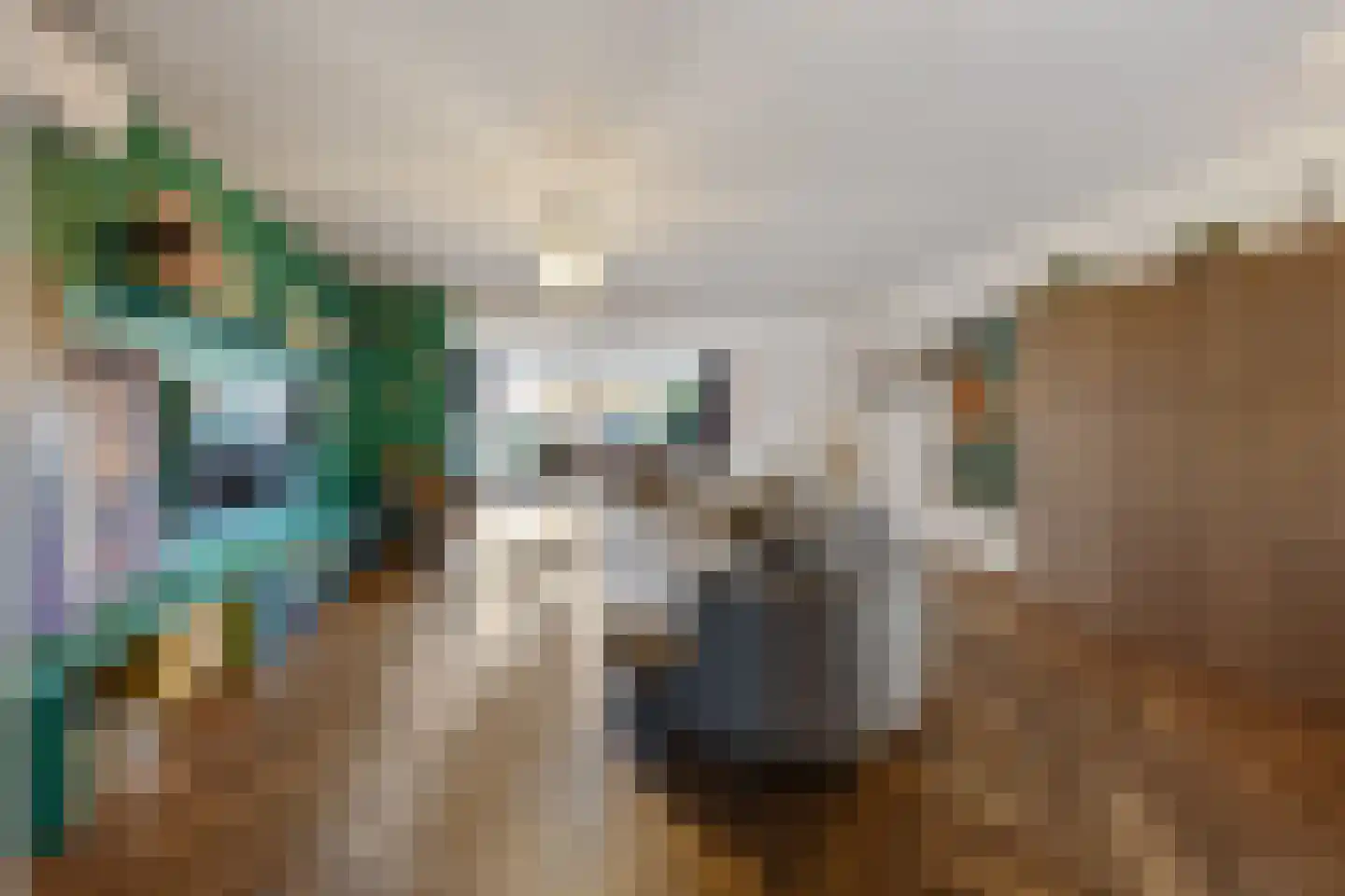 Claudiuslaan 13 Beuningen Gld thumbnail 6