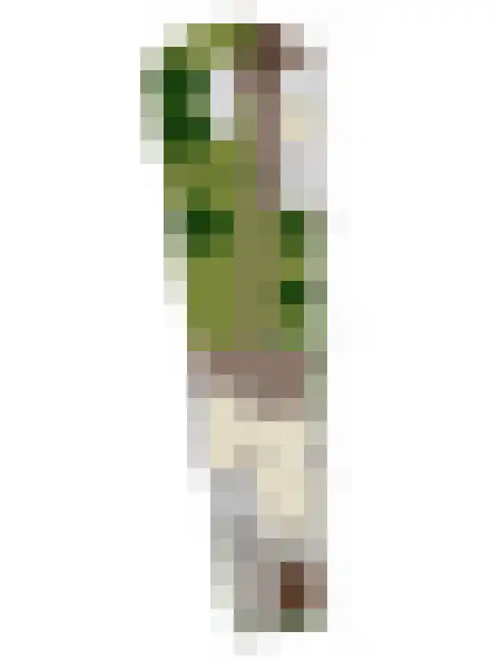 Claudiuslaan 13 Beuningen Gld thumbnail 72