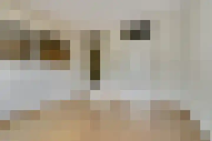 Claudiuslaan 14 Beuningen Gld thumbnail 15