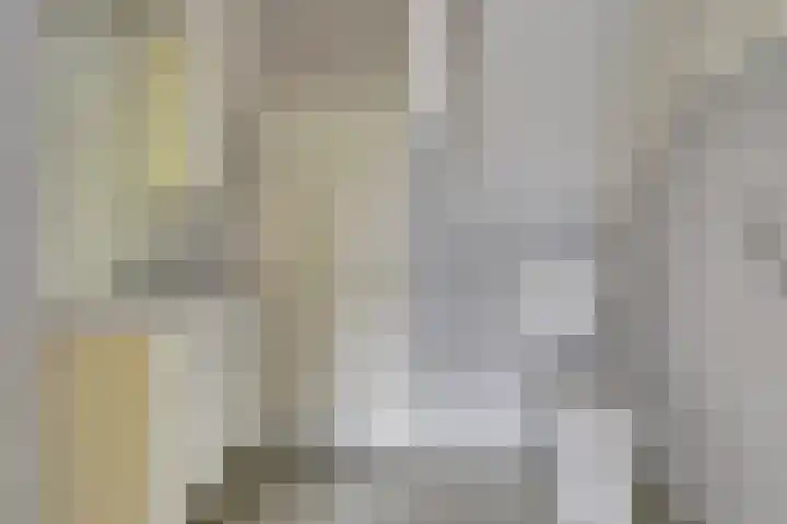 Claudiuslaan 14 Beuningen Gld thumbnail 17