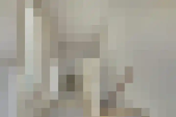 Claudiuslaan 14 Beuningen Gld thumbnail 20
