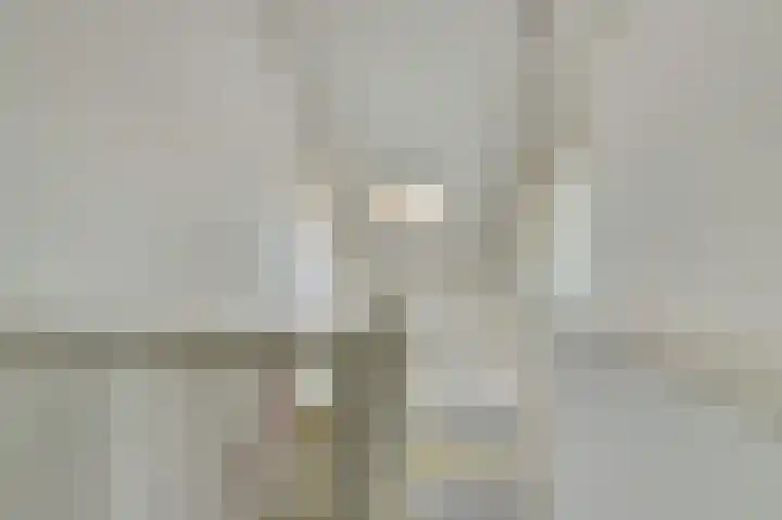 Claudiuslaan 14 Beuningen Gld thumbnail 21