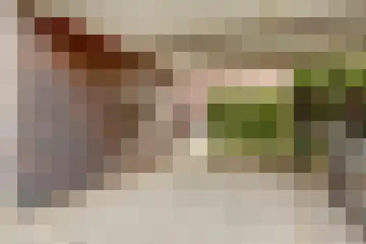 Claudiuslaan 23 De Meern thumbnail 12