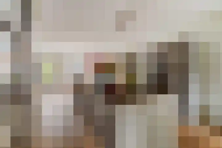 Claudiuslaan 23 De Meern thumbnail 22