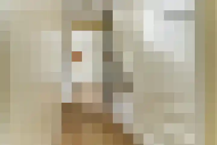 Claudiuslaan 23 De Meern thumbnail 25