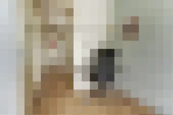 Claudiuslaan 23 De Meern thumbnail 36