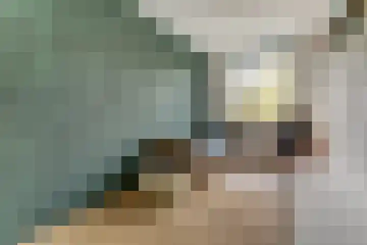 Claudiuslaan 23 De Meern thumbnail 38