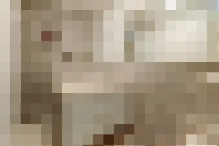 Claudiuslaan 23 De Meern thumbnail 4