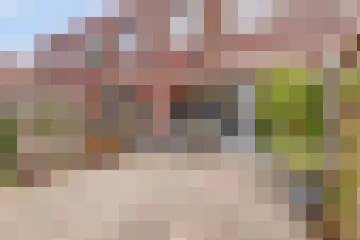 Claudiuslaan 23 De Meern thumbnail 47