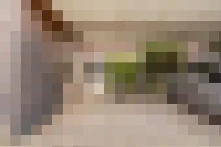 Claudiuslaan 23 De Meern thumbnail 51