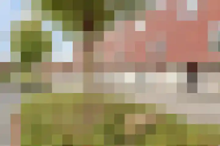 Claudiuslaan 23 De Meern thumbnail 7