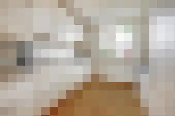 Claudiuslaan 31 Beuningen Gld thumbnail 13