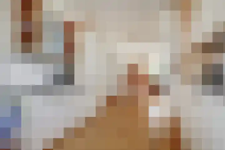 Claudiuslaan 31 Beuningen Gld thumbnail 14