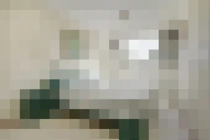 Claudiuslaan 31 Beuningen Gld thumbnail 18