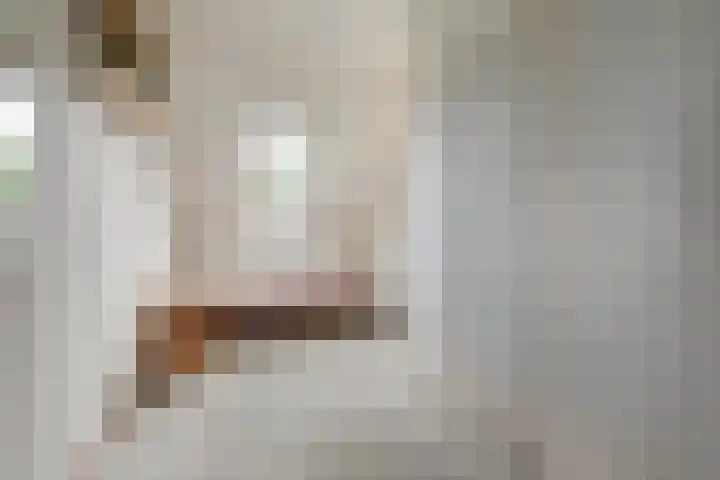 Claudiuslaan 31 Beuningen Gld thumbnail 20
