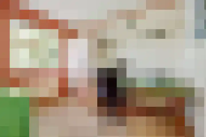 Claudiuslaan 31 Beuningen Gld thumbnail 22