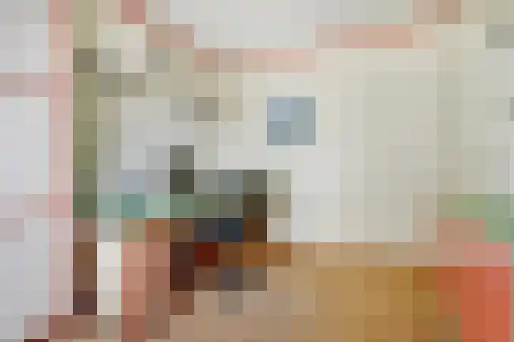 Claudiuslaan 31 Beuningen Gld thumbnail 24