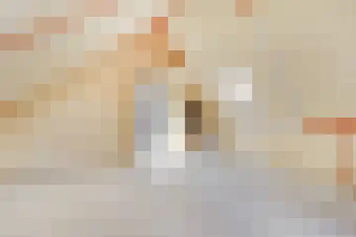 Claudiuslaan 31 Beuningen Gld thumbnail 30