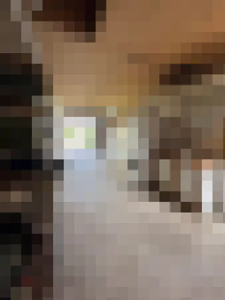Claudiuslaan 31 Beuningen Gld thumbnail 48