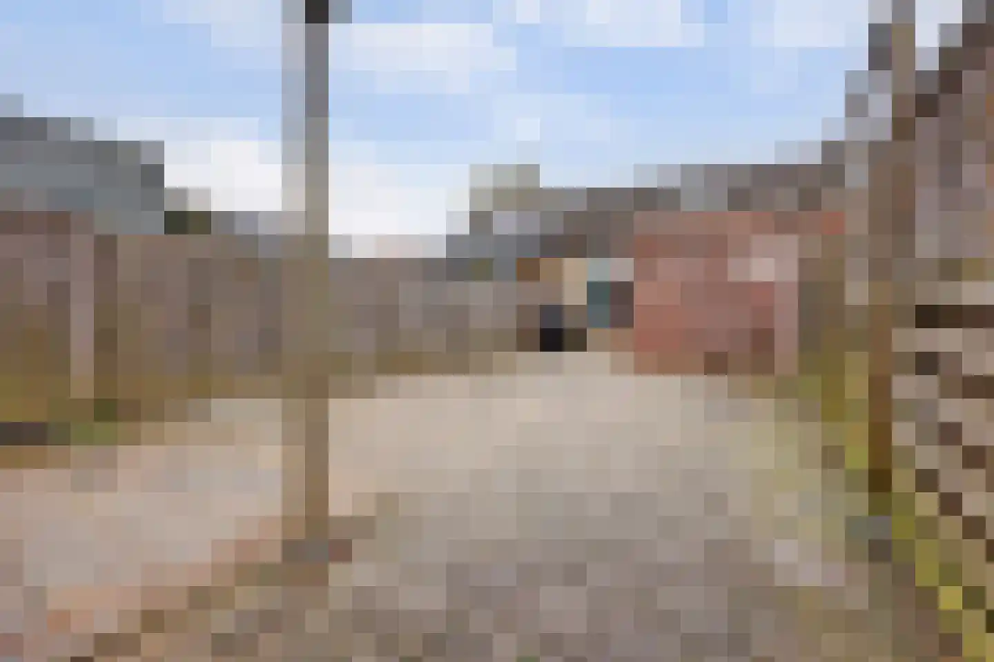 Claudiuslaan 4 Beuningen Gld thumbnail 29
