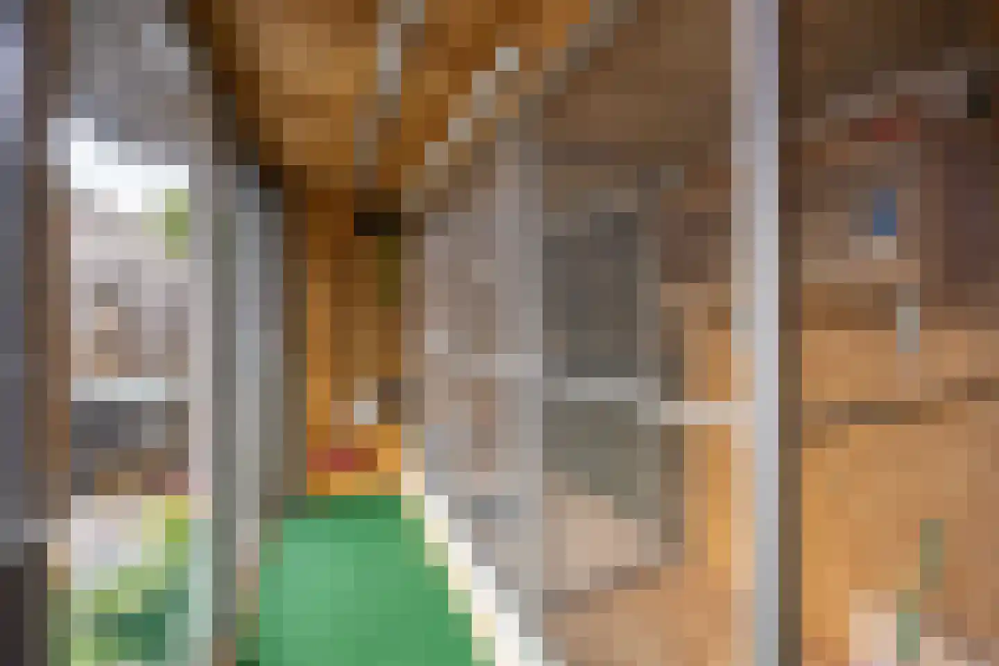 Claudiuslaan 40 Beuningen Gld thumbnail 36