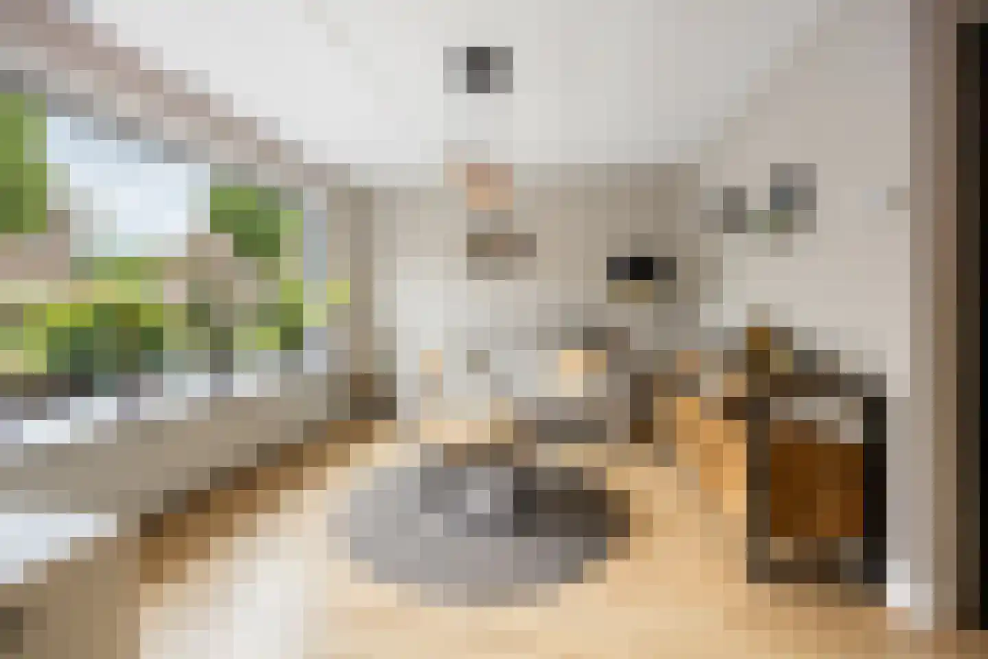 Claudiuslaan 40 Beuningen Gld thumbnail 8