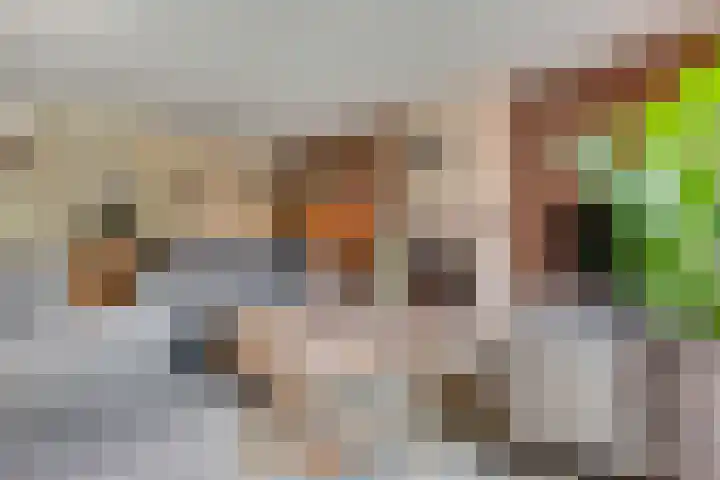 Claudiuslaan 47 Beuningen Gld thumbnail 13