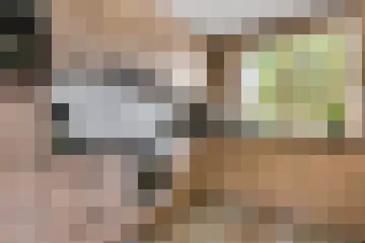 Claudiuslaan 47 Beuningen Gld thumbnail 15