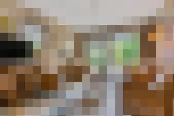 Claudiuslaan 47 Beuningen Gld thumbnail 20