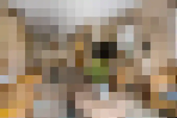 Claudiuslaan 47 Beuningen Gld thumbnail 21