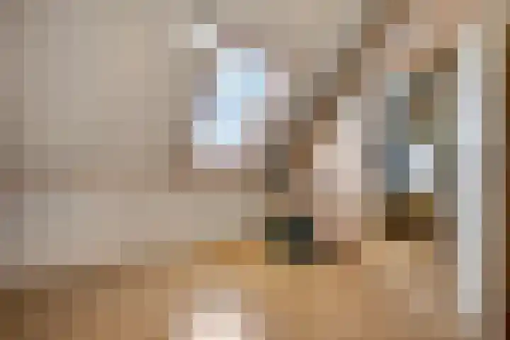 Claudiuslaan 47 Beuningen Gld thumbnail 34