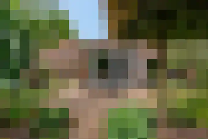Claudiuslaan 47 Beuningen Gld thumbnail 37
