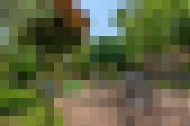 Claudiuslaan 47 Beuningen Gld thumbnail 39