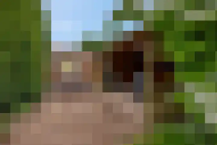 Claudiuslaan 47 Beuningen Gld thumbnail 41
