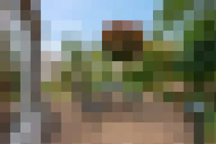 Claudiuslaan 47 Beuningen Gld thumbnail 42