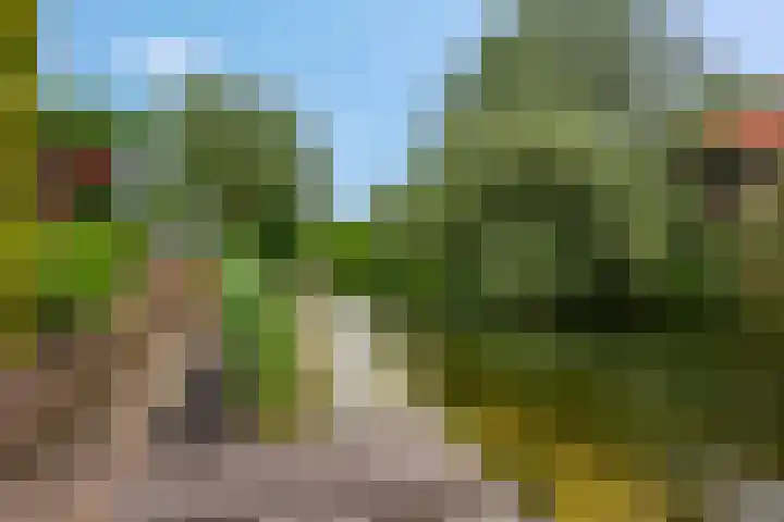 Claudiuslaan 47 Beuningen Gld thumbnail 43