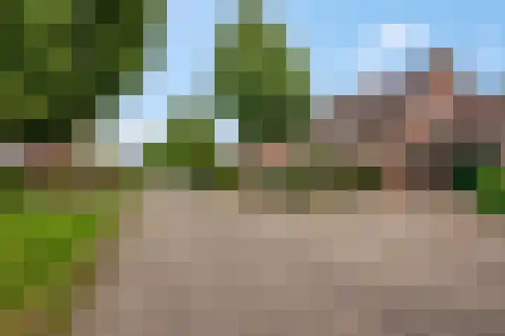 Claudiuslaan 47 Beuningen Gld thumbnail 44