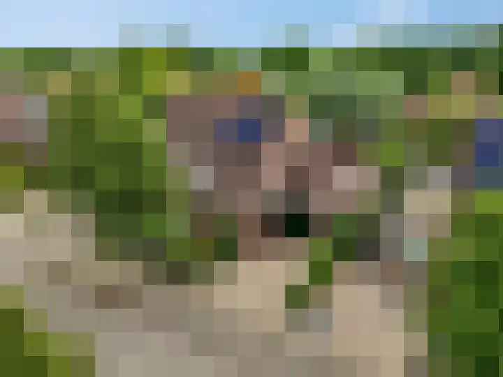 Claudiuslaan 47 Beuningen Gld thumbnail 45