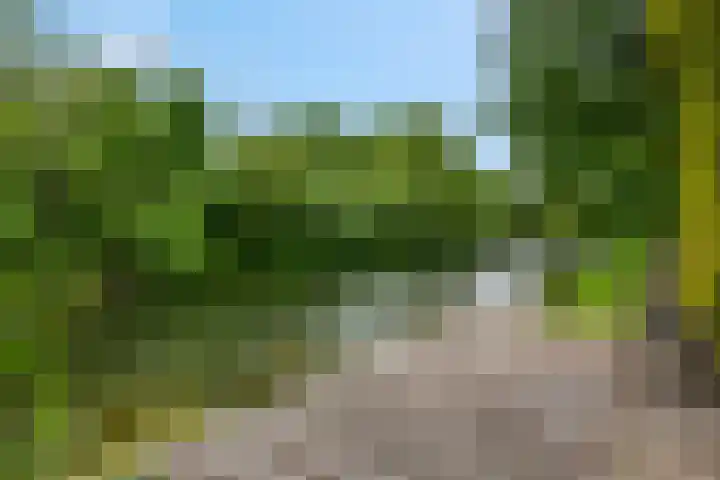 Claudiuslaan 47 Beuningen Gld thumbnail 46