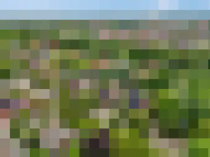 Claudiuslaan 47 Beuningen Gld thumbnail 47