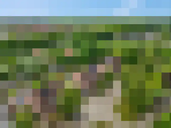 Claudiuslaan 47 Beuningen Gld thumbnail 48