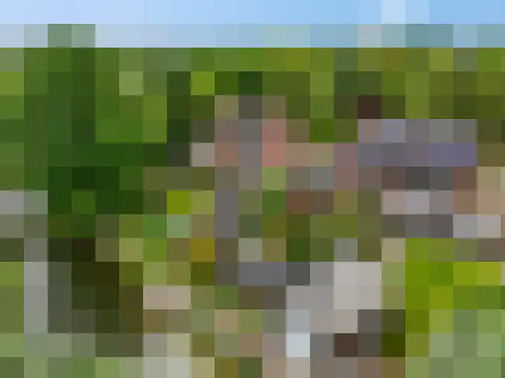 Claudiuslaan 47 Beuningen Gld thumbnail 49