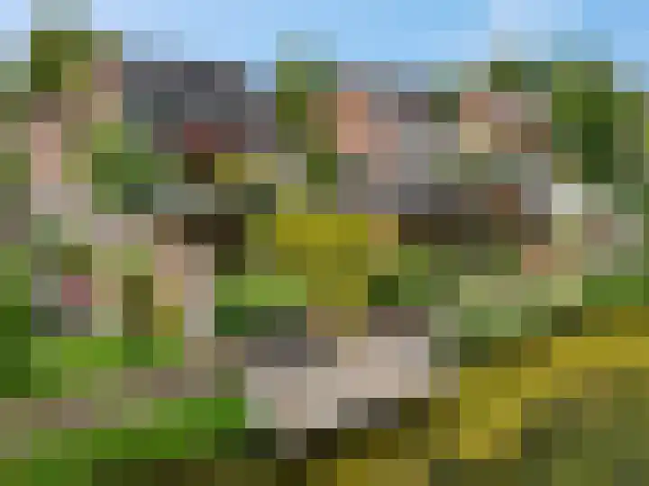 Claudiuslaan 47 Beuningen Gld thumbnail 50
