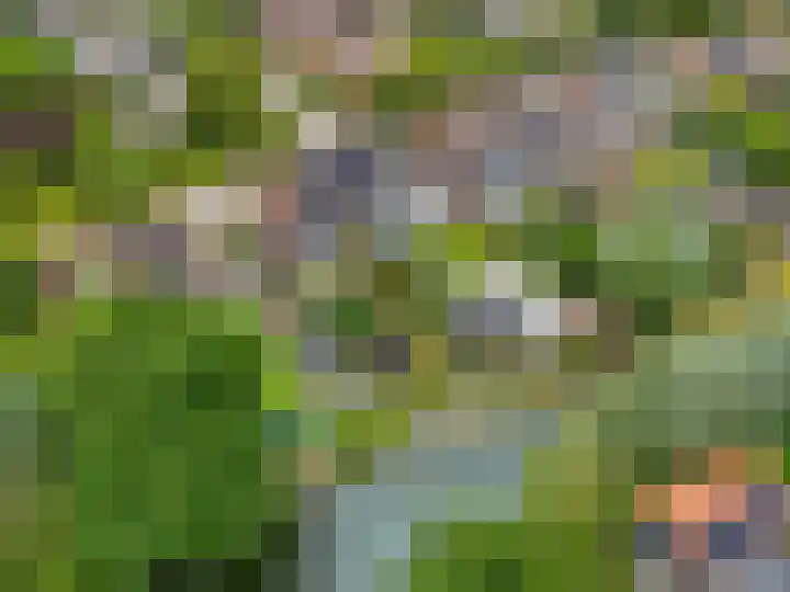 Claudiuslaan 47 Beuningen Gld thumbnail 51