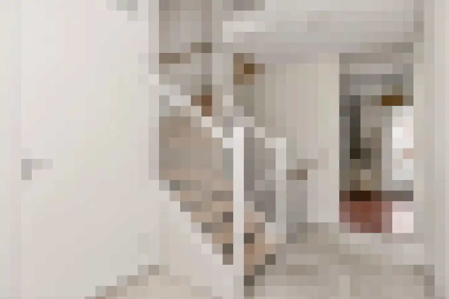 Claudiuslaan 57 P De Meern thumbnail 30